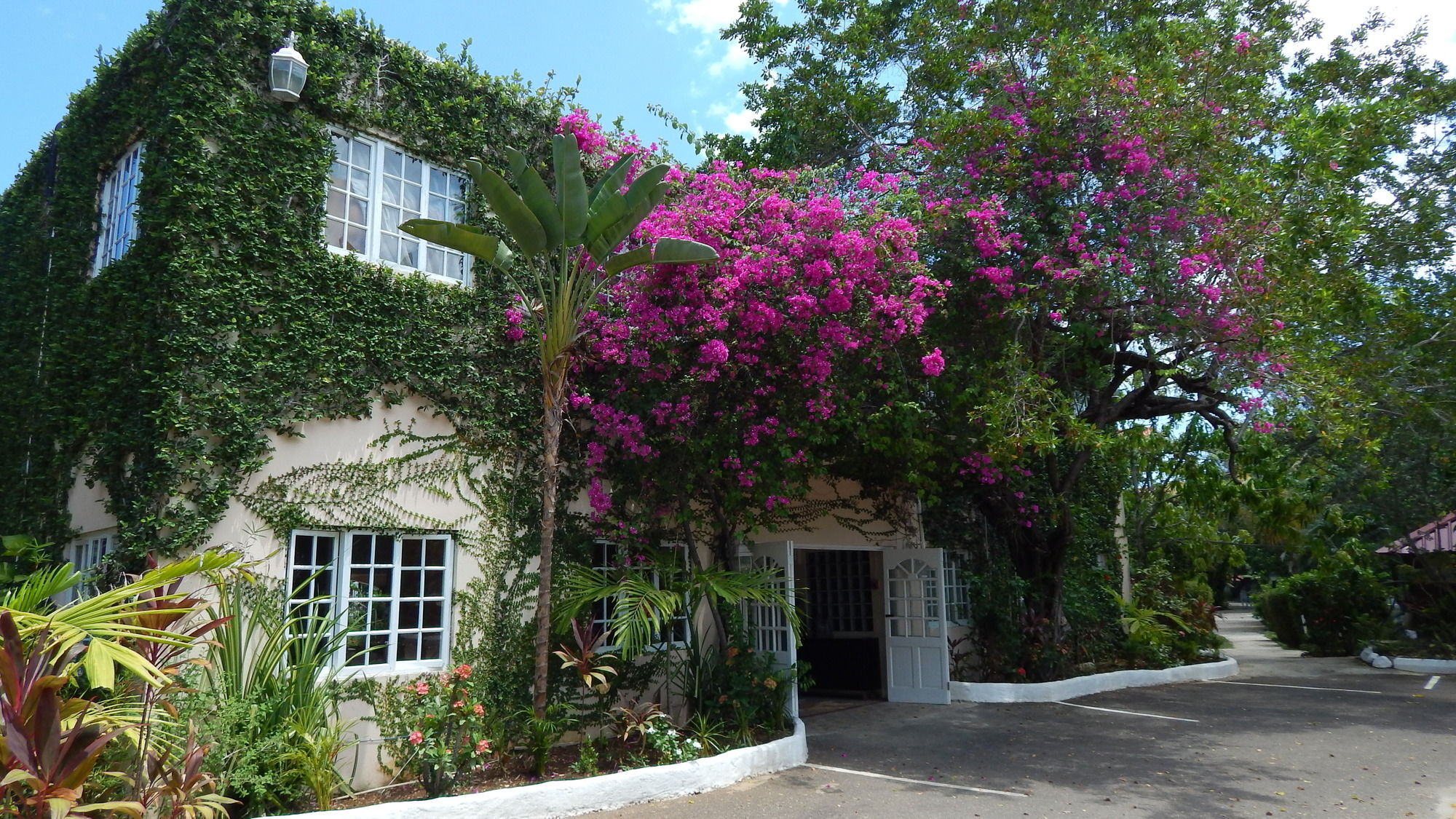 Hotel Mangos Jamaica Adults Only Falmouth Exterior foto